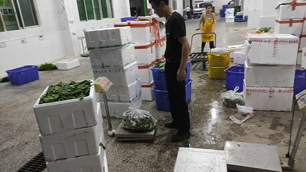 ��B�Ї��h(hu��n)����(bi��o)־������